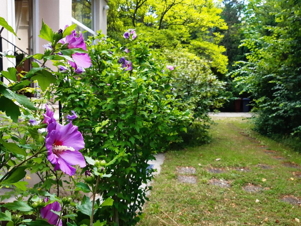 Pension Villa Inge Baden Exterior photo